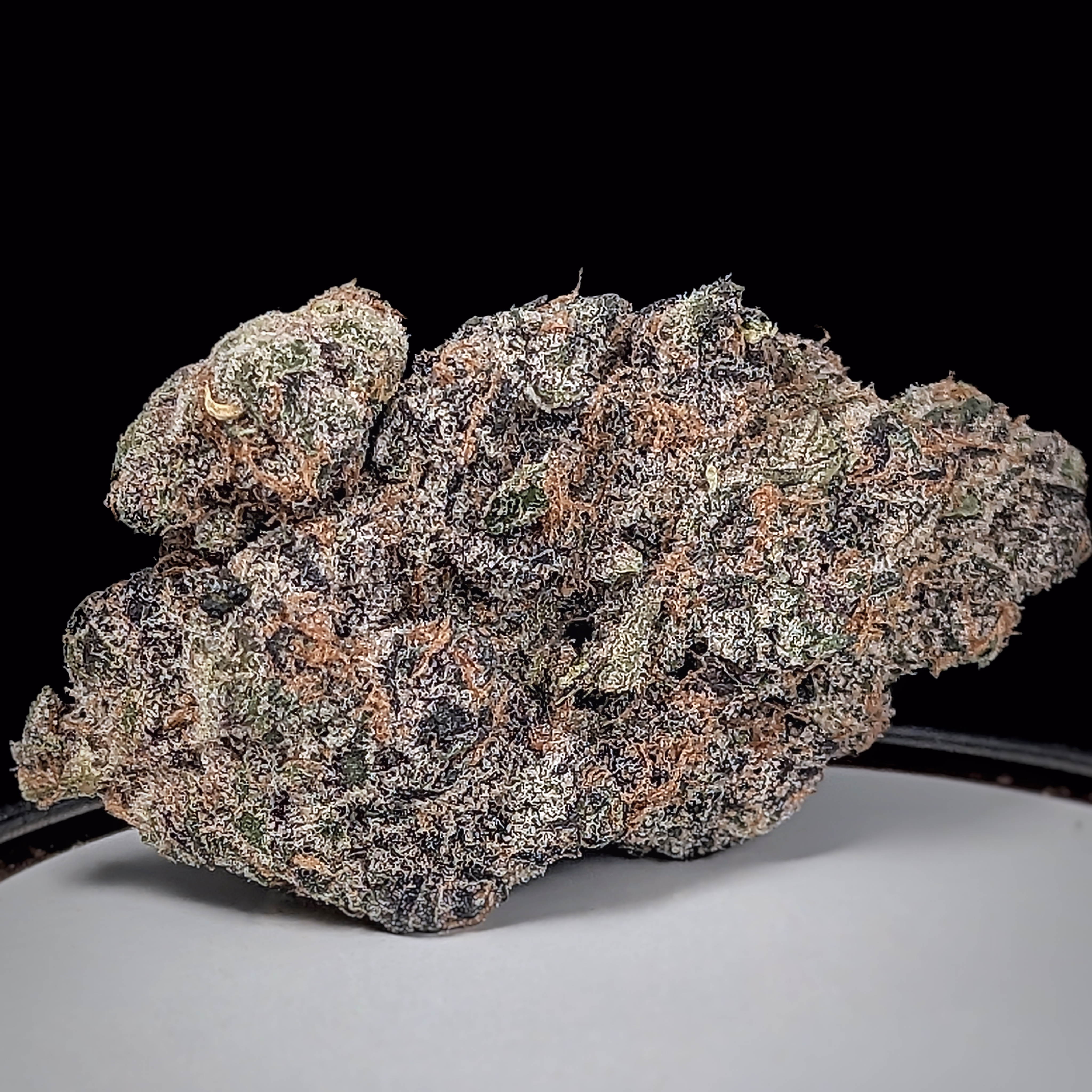 **NEW**🍒 💨 🌴Black Cherry Tropicana XR $205OZ / $120½OZ